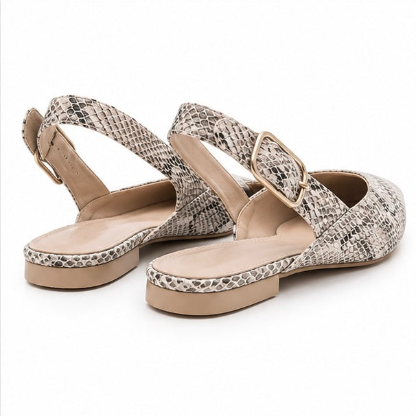 Zapato Snake
