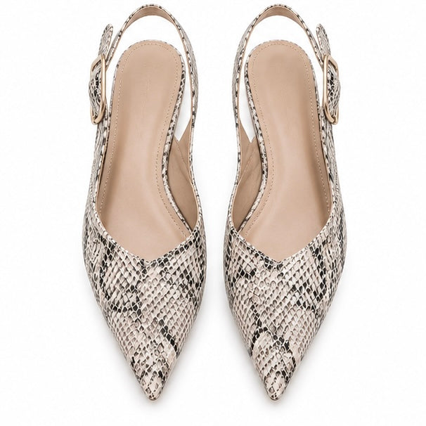 Zapato Snake